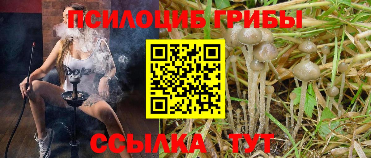 Псилоцибиновые грибы Magic Shrooms  Вход с VPN  Томск 